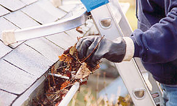 Gutter Cleaning in Milwaukee WI Gutter Cleaning Services in Milwaukee WI Cheap Gutter Cleaning in Milwaukee WI Cheap Gutter Services in Milwaukee WI Quality Gutter Cleaning in Milwaukee WI Gutter Cleaning in WI Milwaukee Gutter Cleaning Services in Milwaukee WI Gutter Cleaning Services in WI Milwaukee Gutter Cleaning in WI Milwaukee Clean the gutters in Milwaukee WI Clean gutters in WI Milwaukee Gutter cleaners in Milwaukee WI Gutter cleaners in WI Milwaukee Gutter cleaner in Milwaukee WI Gutter cleaner in WI Milwaukee Affordable Gutter Cleaning in Milwaukee WI Cheap Gutter Cleaning in Milwaukee WI Affordable Gutter Services in Milwaukee WI